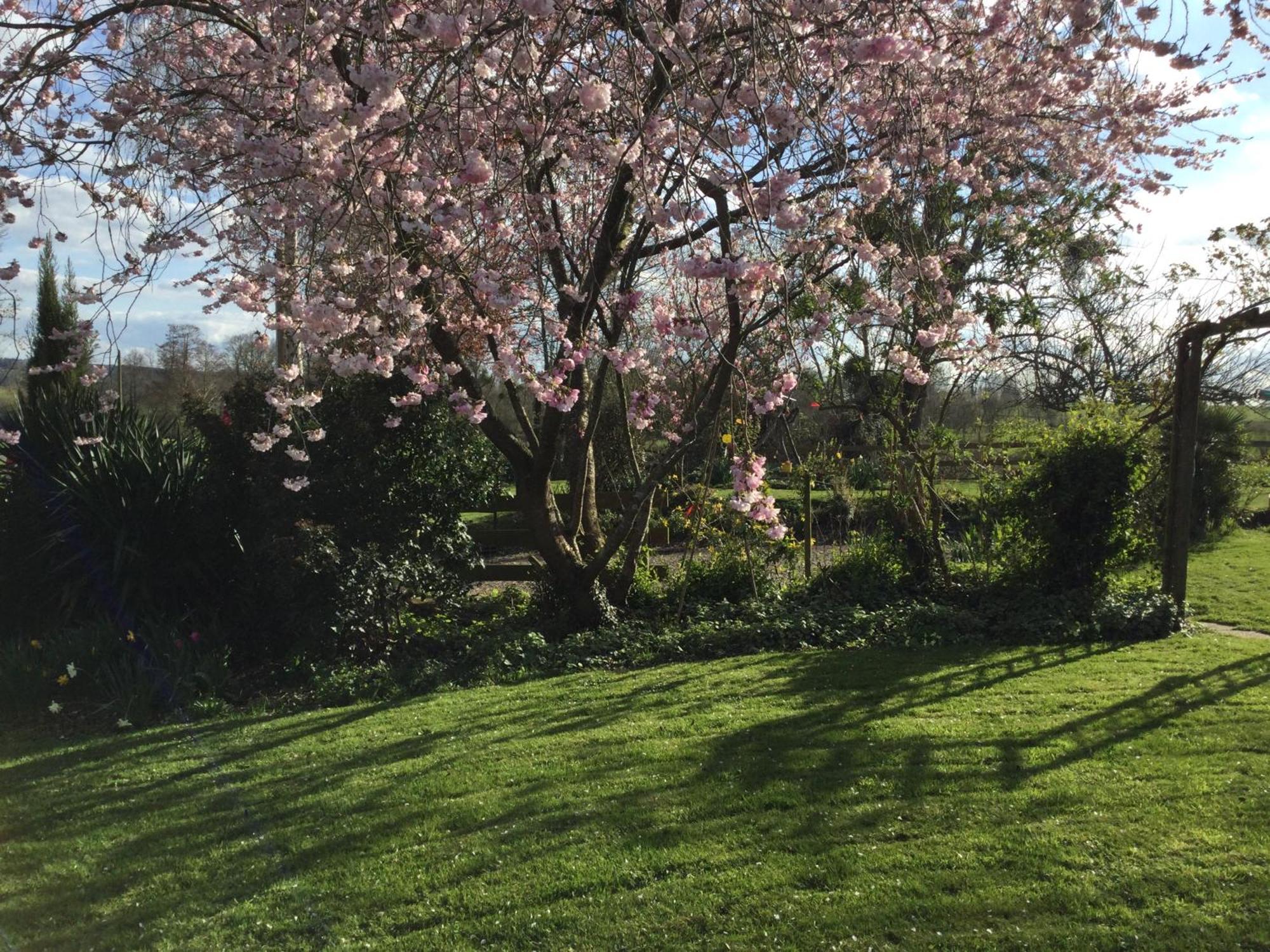 Le Cottage Normand Saint-James Ngoại thất bức ảnh